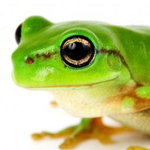 Meet your Posher, Lara